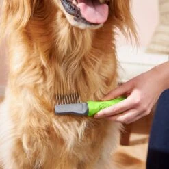 Frisco Dematting Dog Rake, One Size 10 Frisco Dematting Dog Rake, One Size -Frisco Shop 206873 PT6. AC SS1800 V1680186104