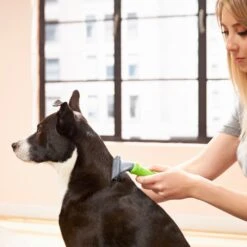 Frisco Deshedding Dog & Cat Brush 11 Frisco Deshedding Dog & Cat Brush -Frisco Shop 206892 PT6. AC SS1800 V1680186216