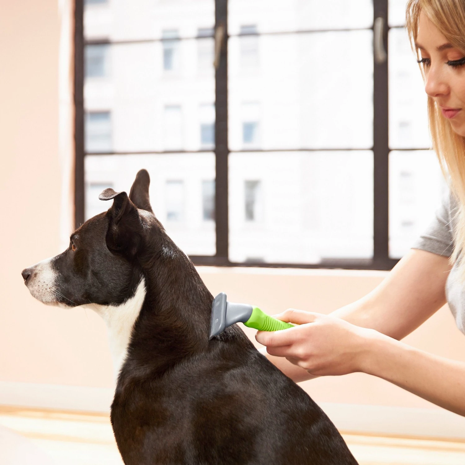 Frisco Deshedding Dog & Cat Brush 6 Frisco Deshedding Dog & Cat Brush - Image 4