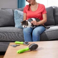 Frisco Beginner Grooming Kit For Dogs And Cats -Frisco Shop 206909 PT6. AC SS1800 V1680186162