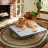 Frisco Cooling Orthopedic Pillow Dog Bed W/Removable Cover 2 Frisco Cooling Orthopedic Pillow Dog Bed W/Removable Cover -Frisco Shop 210223 MAIN. AC SS1800 V1590067616