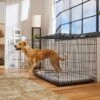 Frisco Heavy Duty Fold & Carry Double Door Collapsible Wire Dog Crate & Mat Kit -Frisco Shop 212618 MAIN. AC SS1800 V1667227320