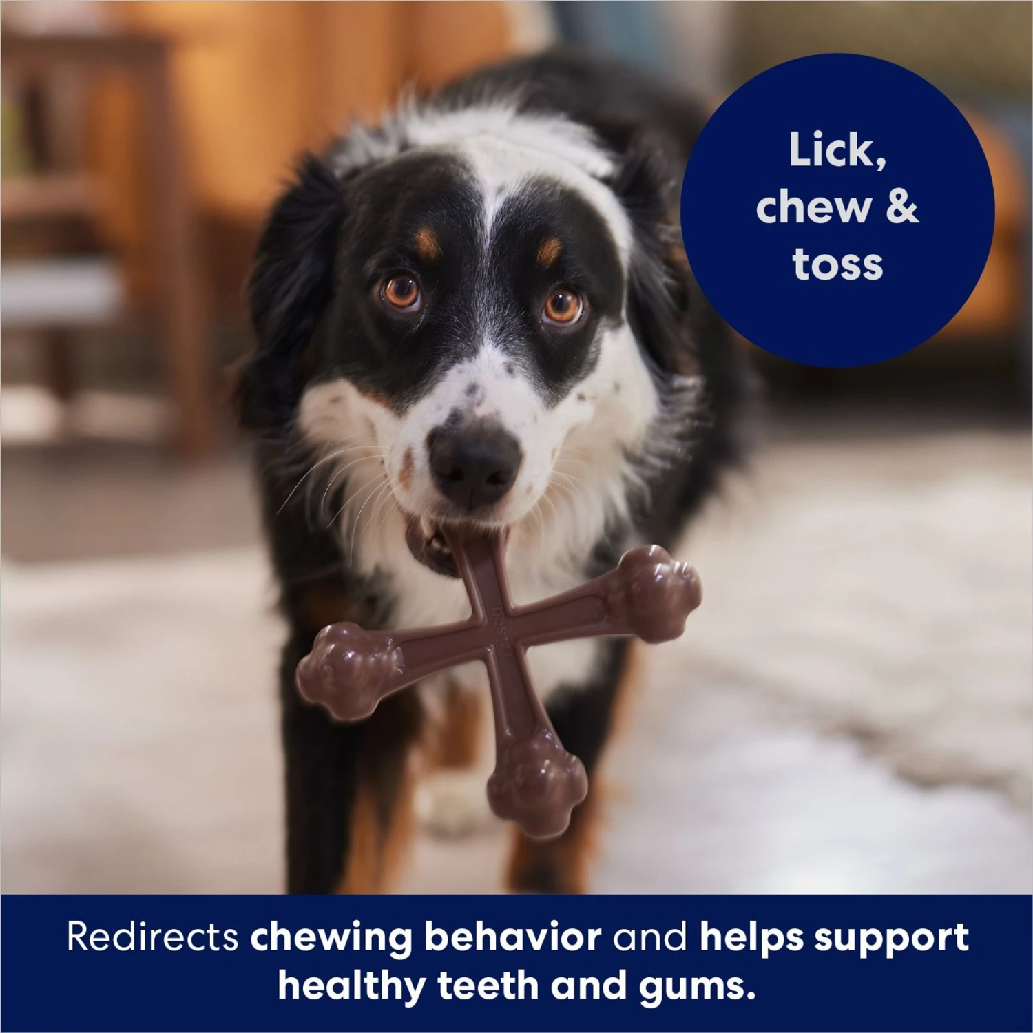 Frisco Bacon Flavor Tough Nylon Dog Chew Toy 6 Frisco Bacon Flavor Tough Nylon Dog Chew Toy - Image 5