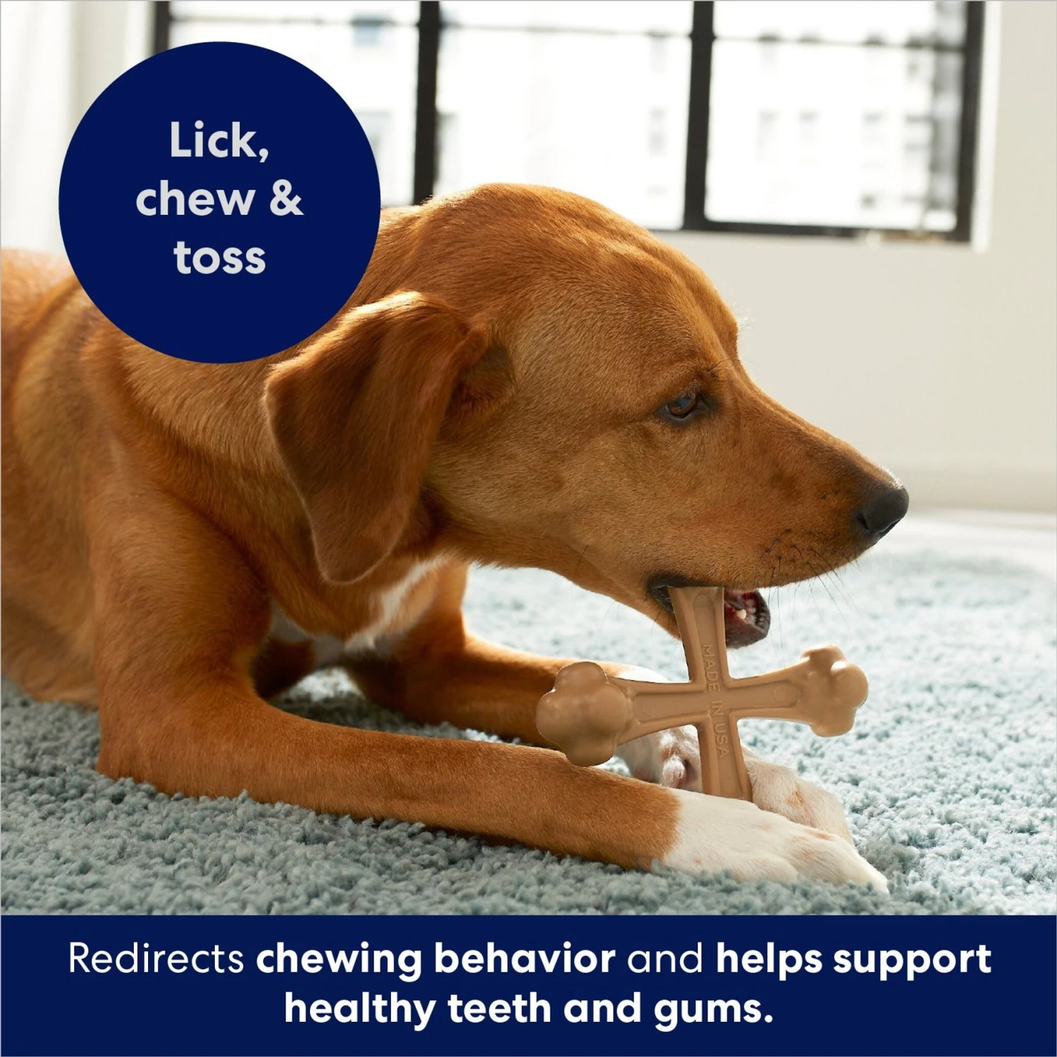 Frisco Peanut Butter Flavor Tough Nylon Dog Chew Toy 7 Frisco Peanut Butter Flavor Tough Nylon Dog Chew Toy - Image 5