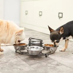 Frisco Multi Pet Feeding 4-Bowls Stainless Steel Dog & Cat Bowls, 0.5 Cup 16 Frisco Multi Pet Feeding 4-Bowls Stainless Steel Dog & Cat Bowls, 0.5 Cup -Frisco Shop 213787 PT7. AC SS1800 V1599090064
