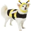 Frisco Bumble Bee Dog & Cat Costume -Frisco Shop 215492 MAIN. AC SS1800 V1624542927