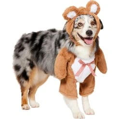 Frisco Front Walking Teddy Bear Dog & Cat Costume -Frisco Shop 215507 PT3. AC SS1800 V1624402415