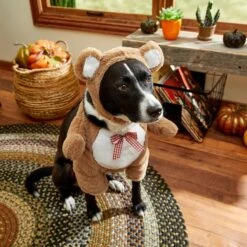 Frisco Front Walking Teddy Bear Dog & Cat Costume -Frisco Shop 215507 PT8. AC SS1800 V1689628224