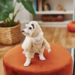 Frisco Front Walking Sloth Dog & Cat Costume 13 Frisco Front Walking Sloth Dog & Cat Costume -Frisco Shop 215539 PT8. AC SS1800 V1599141353