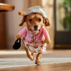 Frisco Front Walking Granny Dog & Cat Costume 19 Frisco Front Walking Granny Dog & Cat Costume -Frisco Shop 215577 PT8. AC SS1800 V1689621333