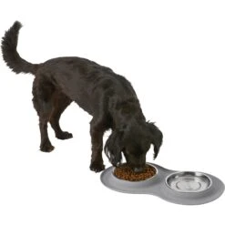 Frisco Double Stainless Steel Pet Bowl With Silicone Mat 15 Frisco Double Stainless Steel Pet Bowl With Silicone Mat -Frisco Shop 215986 PT5. AC SS1800 V1605652436
