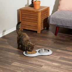 Frisco Double Stainless Steel Pet Bowl With Silicone Mat 16 Frisco Double Stainless Steel Pet Bowl With Silicone Mat -Frisco Shop 215986 PT6. AC SS1800 V1605657710