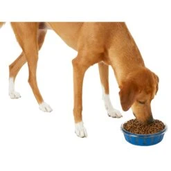 Frisco Chevron Design Glass Bowl With Silicone Sleeve -Frisco Shop 216049 PT6. AC SS1800 V1605654757