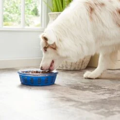 Frisco Chevron Design Glass Bowl With Silicone Sleeve -Frisco Shop 216049 PT7. AC SS1800 V1605664319