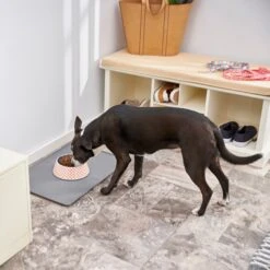 Frisco Southwest Melamine Bowl -Frisco Shop 216064 PT7. AC SS1800 V1605653262