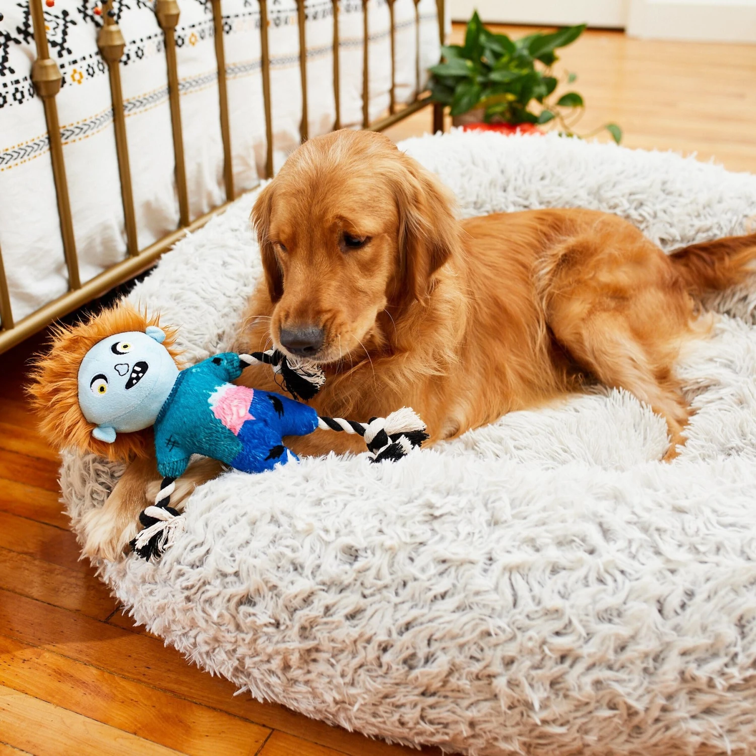 Frisco Zombie Boy Plush With Rope Squeaky Dog Toy 5 Frisco Zombie Boy Plush With Rope Squeaky Dog Toy - Image 3