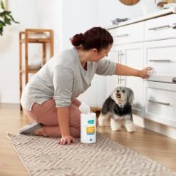 Frisco Vinegar Cleaning Wipes, 70 Count -Frisco Shop 222151 PT4. AC SS1800 V1602847932