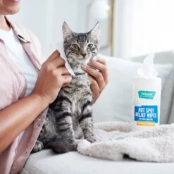 Frisco Hot Spot Relief Wipes 7 Frisco Hot Spot Relief Wipes -Frisco Shop 222163 PT2. AC SS1800 V1602831392