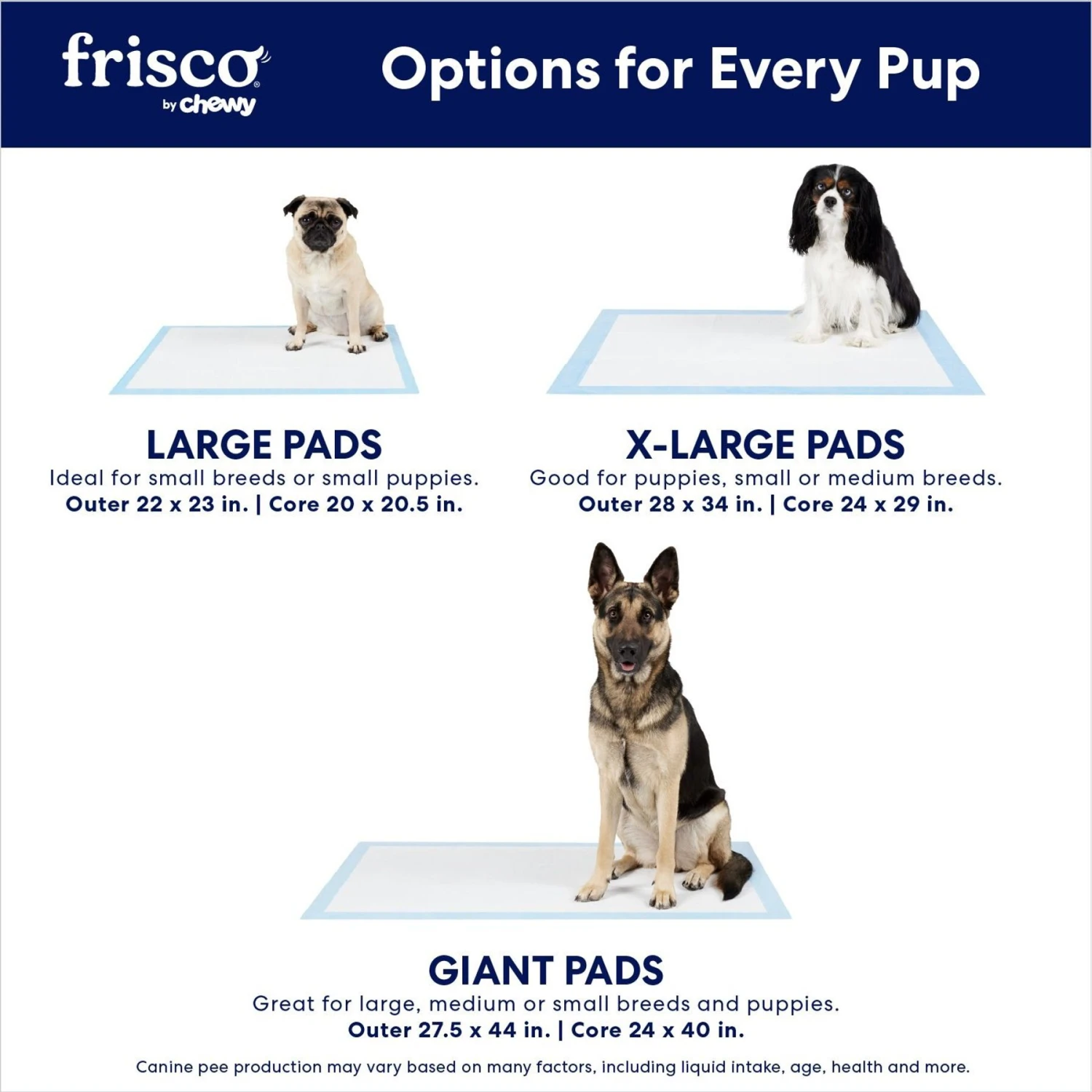 Frisco Extra Large Non-Skid Ultra Premium Dog Training & Potty Pads 6 Frisco Extra Large Non-Skid Ultra Premium Dog Training & Potty Pads - Image 4