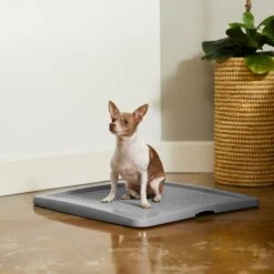 Frisco Training Pad Holder -Frisco Shop 227474 PT6. AC SS1800 V1604701643