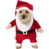 Frisco Front Walking Santa Dog & Cat Costume, 1 Count 1 Frisco Front Walking Santa Dog & Cat Costume, 1 Count -Frisco Shop 228785 MAIN. AC SS1800 V1631300256
