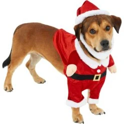 Frisco Front Walking Santa Dog & Cat Costume, 1 Count -Frisco Shop 228785 PT3. AC SS1800 V1631300866