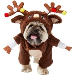Frisco Front Walking Reindeer Dog & Cat Costume, 1 Count 13 Frisco Front Walking Reindeer Dog & Cat Costume, 1 Count -Frisco Shop 228790 PT2. AC SS1800 V1636731101