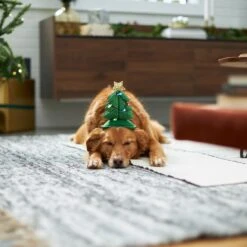 Frisco Christmas Tree LED Dog & Cat Headpiece 11 Frisco Christmas Tree LED Dog & Cat Headpiece -Frisco Shop 229051 PT7. AC SS1800 V1601648765