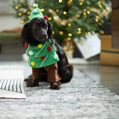 Frisco Front Walking Christmas Tree Dog & Cat Costume 14 Frisco Front Walking Christmas Tree Dog & Cat Costume -Frisco Shop 229164 PT7. AC SS1800 V1601385981