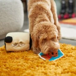 Frisco Retro Camera 2-in-1 Rip For Surprise Plush Squeaky Dog Toy -Frisco Shop 230306 PT3. AC SS1800 V1602639779