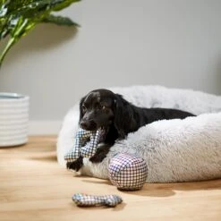 Frisco Retro Plush Squeaky Disco Dog Toy 7 Frisco Retro Plush Squeaky Disco Dog Toy -Frisco Shop 230349 PT3. AC SS1800 V1600973789