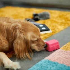 Frisco Retro Funky Van TPE Treat Dispenser Dog Toy, Medium/Large 10 Frisco Retro Funky Van TPE Treat Dispenser Dog Toy, Medium/Large -Frisco Shop 230383 PT4. AC SS1800 V1669908614