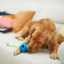 Frisco Retro PC Mouse Rubber Tug & Fetch Dog Toy -Frisco Shop 230385 PT3. AC SS1800 V1606953426