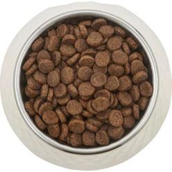 Frisco Hammered Melamine Stainless Steel Dog Bowl -Frisco Shop 232083 PT3. AC SS1800 V1609885089