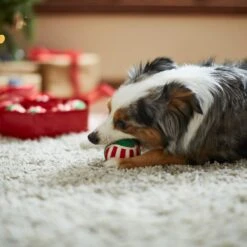 Frisco Holiday Wreath Fetch Squeaky Tennis Ball Dog Toy 12 Frisco Holiday Wreath Fetch Squeaky Tennis Ball Dog Toy -Frisco Shop 233189 PT3. AC SS1800 V1665759769