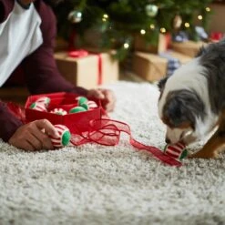 Frisco Holiday Wreath Fetch Squeaky Tennis Ball Dog Toy 13 Frisco Holiday Wreath Fetch Squeaky Tennis Ball Dog Toy -Frisco Shop 233189 PT5. AC SS1800 V1601919657