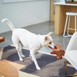 Frisco Holiday Gingerbread Man Flat Plush Squeaky Dog Toy 10 Frisco Holiday Gingerbread Man Flat Plush Squeaky Dog Toy -Frisco Shop 233241 PT2. AC SS1800 V1601311903