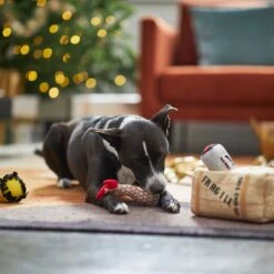 Frisco Holiday Fragile Box Hide & Seek Puzzle Plush Squeaky Dog Toy 13 Frisco Holiday Fragile Box Hide & Seek Puzzle Plush Squeaky Dog Toy -Frisco Shop 233274 PT4. AC SS1800 V1665759767