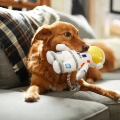 Frisco Ballistic Nylon Plush With Rope Squeaky Astronaut Dog Toy 7 Frisco Ballistic Nylon Plush With Rope Squeaky Astronaut Dog Toy -Frisco Shop 233585 PT3. AC SS1800 V1600973761