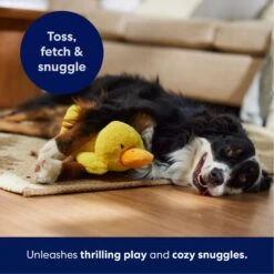 Frisco Duck Plush Squeaky Dog Toy 12 Frisco Duck Plush Squeaky Dog Toy -Frisco Shop 233613 PT4. AC SS1800 V1695670688