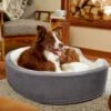 Frisco Bolster Cat & Dog Bed 1 Frisco Bolster Cat & Dog Bed -Frisco Shop 235034 MAIN. AC SS1800 V1602690455