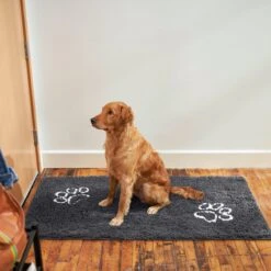 Frisco Microfiber Chenille Paw Print Doormat Runner 11 Frisco Microfiber Chenille Paw Print Doormat Runner -Frisco Shop 235889 PT6. AC SS1800 V1606833151
