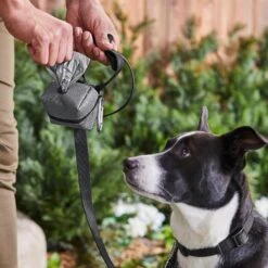 Frisco Large Size Dog Poop Bags With Fabric Dispenser -Frisco Shop 237013 PT6. AC SS1800 V1610762789