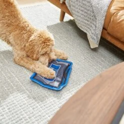 Frisco Zoomies & Chill TV Flat Plush Squeaky Dog Toy -Frisco Shop 241685 PT6. AC SS1800 V1610768399