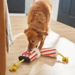 Frisco Zoomies & Chill Theatre Snacks Rope With Plush Squeaky Dog Toy -Frisco Shop 241689 PT6. AC SS1800 V1610768279