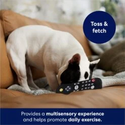 Frisco Zoomies & Chill Remote Latex Squeaky Dog Toy 10 Frisco Zoomies & Chill Remote Latex Squeaky Dog Toy -Frisco Shop 241753 PT6. AC SS1800 V1686580150