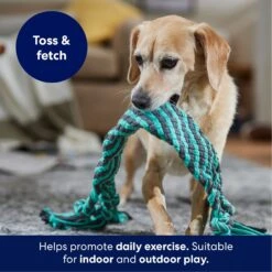 Frisco Flat Teal & Gray Braided Rope Squeaky Fetch Dog Toy 10 Frisco Flat Teal & Gray Braided Rope Squeaky Fetch Dog Toy -Frisco Shop 242127 PT3. AC SS1800 V1695242179