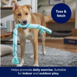 Frisco Double Fun Rope Crinkle Fetch Dog Toy 10 Frisco Double Fun Rope Crinkle Fetch Dog Toy -Frisco Shop 242137 PT3. AC SS1800 V1695242178
