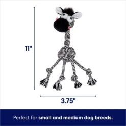 New Release -Frisco Shop 242163 PT1. AC SS1800 V1695084258