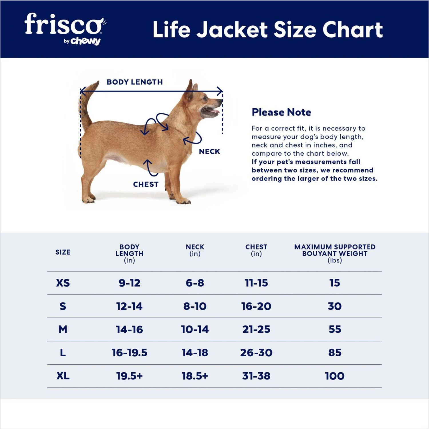 Frisco Rugged Dog Life Jacket 3 Frisco Rugged Dog Life Jacket - Image 2